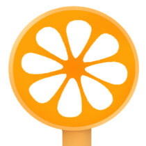 fruitpen-orange SQ