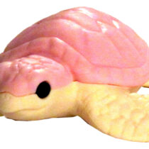 turtle-pink
