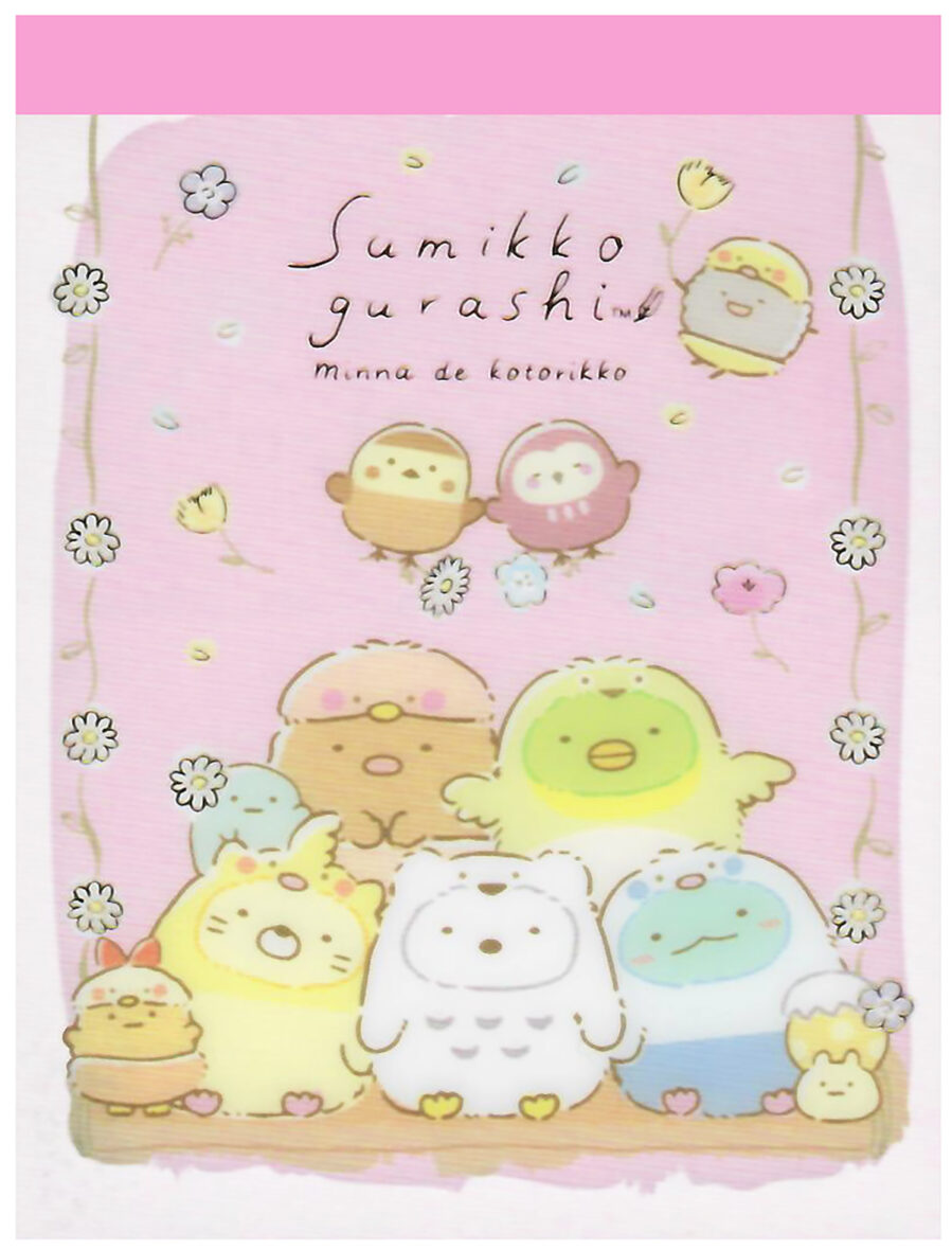 San-x Sumikko Gurashi Forest Friends Big Mini Memo Pad: Birds