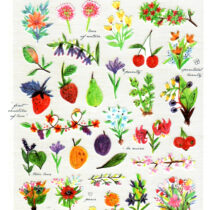 Sonia Love Flowers Garden Die-Cut Sticker Sheet