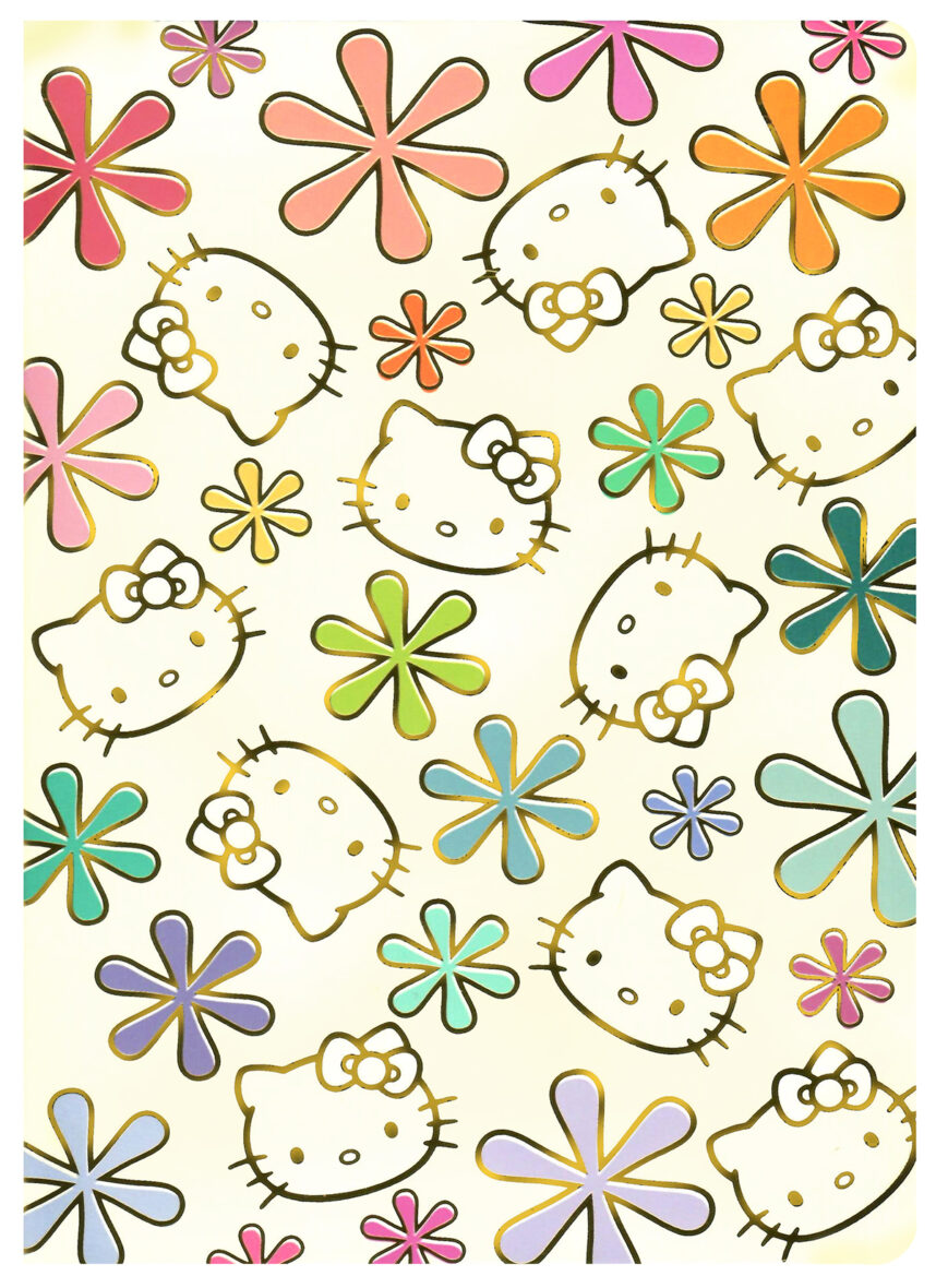 Sanrio Hello Kitty x Erin Condren Petite Journal Notebook