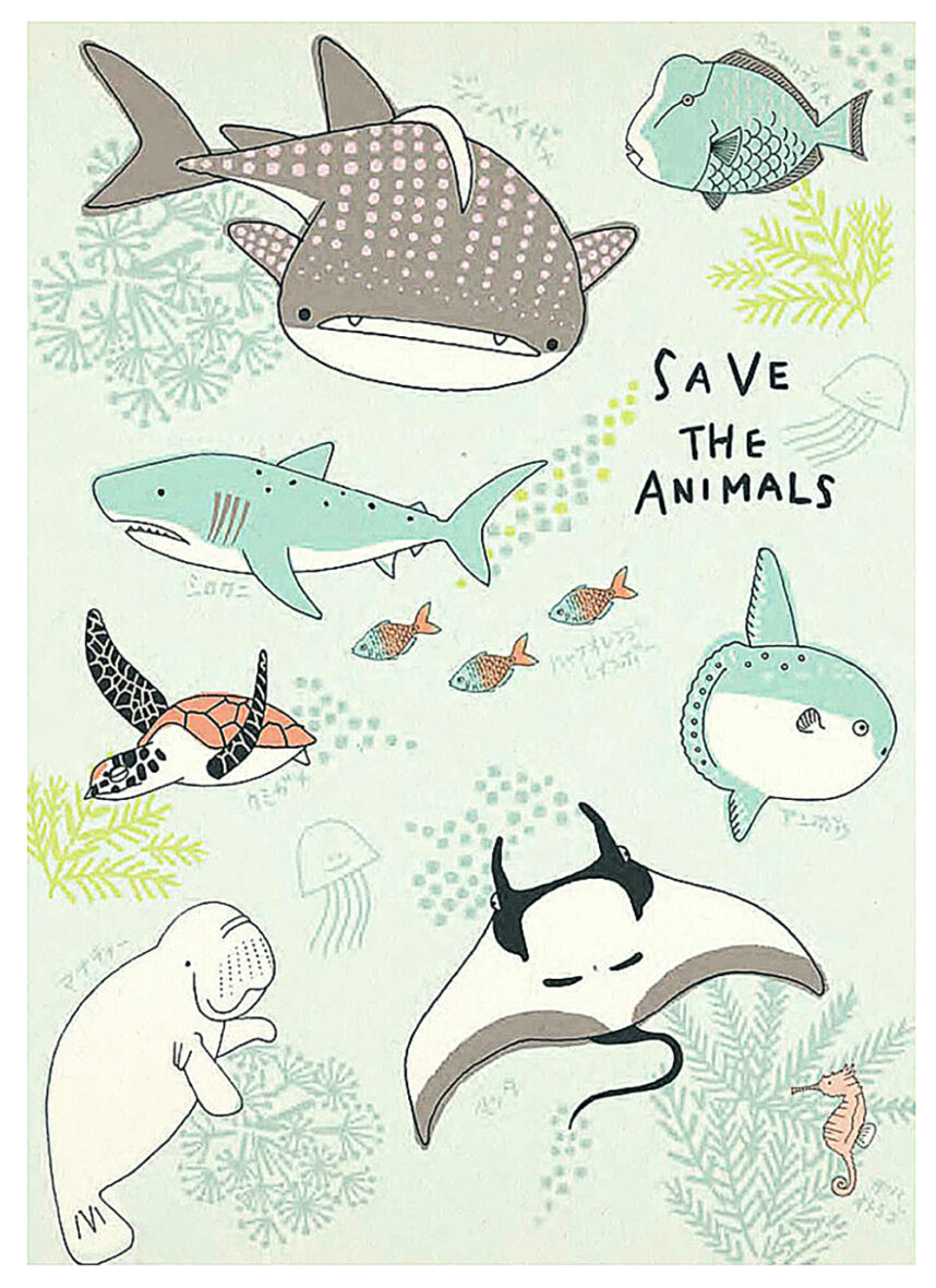 Shinzi Katoh Ocean Life Postcard