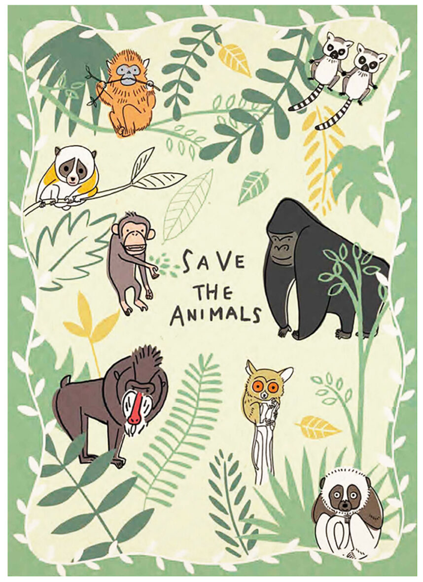 Shinzi Katoh Jungle Life Postcard