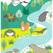 Shinzi Katoh Forest Animals Postcard