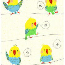Shinzi Katoh Parakeet Thank You Postcard