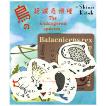 Shinzi Katoh Birds