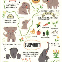 Shinzi Katoh Zoo Idol Sticker Sheet: Elephants