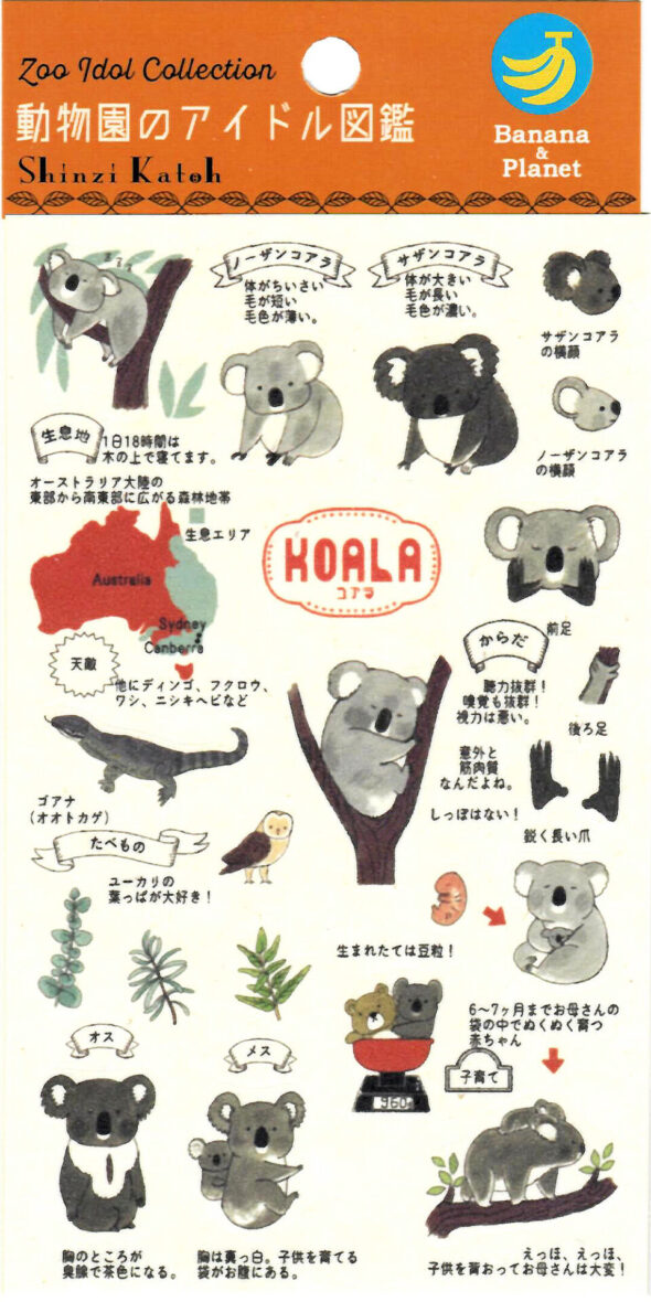 Shinzi Katoh Zoo Idol Sticker Sheet: Koalas