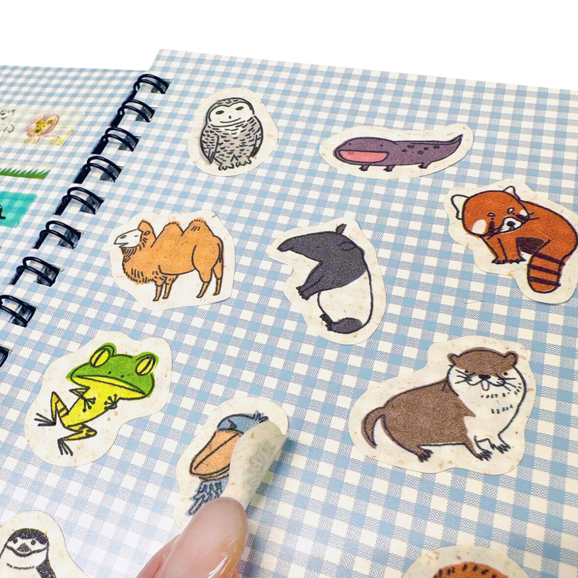 sz bunny stk book Inside